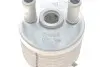 Фото запчастини 2 - радіатор масляний Ford Galaxy/Seat Alhambra/VW Sharan 95-10 (теплообмінник) VIKA 44091597401 Радіатор масляний Ford Galaxy/Seat Alhambra/VW Sharan 95-10 (теплообмінник) VIKA 44091597401 (фото 2)