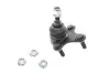 Фото запчастини 1 - опора кульова (передня/снизу/R) VW Caddy 20-/Ford Torneo Connect 22- RTS 93-09194-156 Опора кульова (передня/снизу/R) VW Caddy 20-/Ford Torneo Connect 22- RTS 93-09194-156 (фото 1)