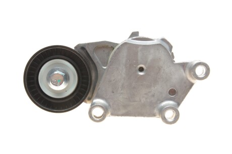 Натяжник ременя генератора Citroen/Peugeot/Ford 1.4HDi/1.6TDCi 01- SOLGY 110022