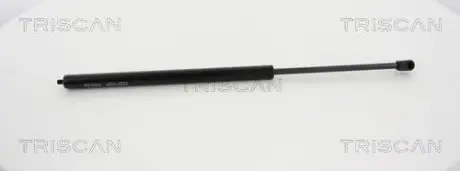 TRISCAN 871080208