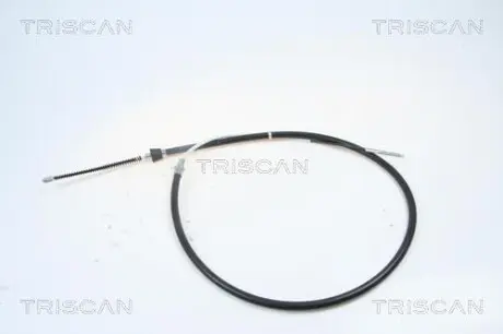 TRISCAN 814029167