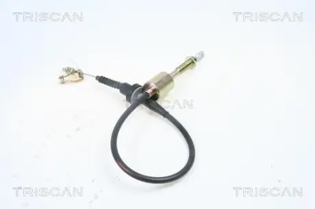 TRISCAN 814043201