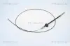 TRISCAN 814023147 (фото 1)