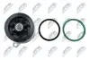 НАСОС РІДИНИ СИСТЕМИ ОХОЛОДЖЕННЯ | VW T5 2.5TDI 03-, TOUAREG 2.5 R5 TDI 03- NTY CPW-VW-038 (фото 4)