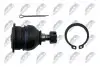 ШАРОВА ОПОРА ПІДВІСКИ | HONDA ACCORD CB/CC/CD/CE 90-98, ODYSSEY 94-98, CR-V 97-01, CIVIC JP 95-01 /ПЕРЕД ВЕРХ/ NTY ZSG-HD-003 (фото 3)