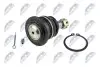 ШАРОВА ОПОРА ПІДВІСКИ | TOYOTA FJ CRUISER GSJ10/15 06-, LANDCRUISER 100/120/150/200 98-, /ПЕРЕД ВЕРХ/ NTY ZSG-TY-015 (фото 2)
