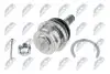 ШАРОВА ОПОРА ПІДВІСКИ | TOYOTA LAND CRUISER 120 GRJ12#/KDJ12#/RZJ12#/TRJ12#/VZJ12# 02-09 /ПЕРЕД НИЗ/ NTY ZSD-TY-067 (фото 2)