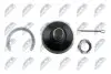 ШАРОВА ОПОРА ПІДВІСКИ | TOYOTA LAND CRUISER 120 GRJ12#/KDJ12#/RZJ12#/TRJ12#/VZJ12# 02-09 /ПЕРЕД НИЗ/ NTY ZSD-TY-067 (фото 4)