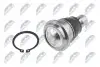 ШАРОВА ОПОРА ПІДВІСКИ | NISSAN QASHQAI 06-, X-TRAIL 07-, MURANO 03-, QUEST 03-, RENAULT KOLEOS 08- /ПЕРЕД НИЗ/ NTY ZSD-NS-034 (фото 2)