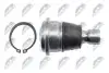 ШАРОВА ОПОРА ПІДВІСКИ | NISSAN QASHQAI 06-, X-TRAIL 07-, MURANO 03-, QUEST 03-, RENAULT KOLEOS 08- /ПЕРЕД НИЗ/ NTY ZSD-NS-034 (фото 3)