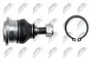 ШАРОВА ОПОРА ПІДВІСКИ | HONDA CITY 1.4I 16V 06.01-, HR-V (GH1/GH2) 99.03-, JAZZ 1.2I, 1.4I 02-08 /ПЕРЕД НИЗ/ NTY ZSD-HD-011 (фото 3)