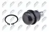 ШАРОВА ОПОРА ПІДВІСКИ | DODGE CALIBER 06-, JEEP COMPASS/PATRIOT 06-, MITSUBISHI LANCER CS 03- /ПЕРЕД НИЗ/ NTY ZSD-CH-008 (фото 2)