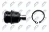 ШАРОВА ОПОРА ПІДВІСКИ | DODGE CALIBER 06-, JEEP COMPASS/PATRIOT 06-, MITSUBISHI LANCER CS 03- /ПЕРЕД НИЗ/ NTY ZSD-CH-008 (фото 3)