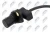 ДАТЧИК ПОЛОЖЕННЯ ВАЛУ | ENG.2.5,2.7 HYUNDAI SANTA FE I,SANTA FE II,TUCSON,COUPE II,SONATA IV,TRAJET, KIA SPORTAGE II,MAGENTIS, 1998-2010 NTY ECP-HY-021 (фото 2)