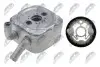РАДІАТОР МАСЛЯНИЙ | ENG 2.5TDI VW PASSAT B5 00-05, AUDI A4 B5 97-01, AUDI A6 C5 97-01, AUDI A8 D2 -2003 NTY CCL-VW-029 (фото 1)