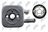 РАДІАТОР МАСЛЯНИЙ | ENG 2.5TDI VW PASSAT B5 00-05, AUDI A4 B5 97-01, AUDI A6 C5 97-01, AUDI A8 D2 -2003 NTY CCL-VW-029 (фото 3)