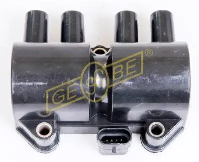 GEBE 960521