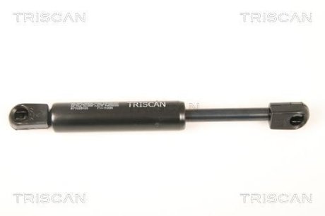 TRISCAN 871028105