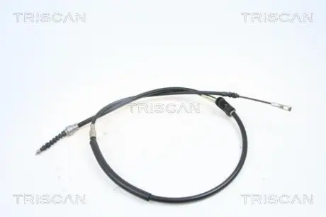 TRISCAN 814029145