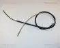 TRISCAN 814029170 (фото 1)