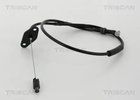 TRISCAN 814043310