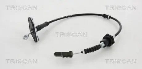 TRISCAN 814018202