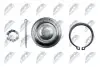 ШАРОВА ОПОРА ПІДВІСКИ | NISSAN PRIMERA P10 90-96, P11 96-01, ALMERA N16 00- /ПЕРЕД НИЗ/ NTY ZSD-NS-005 (фото 5)