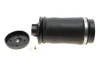 Подушка пневмопідвіски (ззаду) MB ML-class (W164/W166)/GL-class (X164/X166) 06-15 KAVO PARTS SAS-10006 (фото 1)
