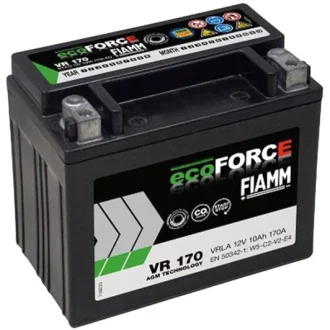 Аккумулятор 6 CT-10-L Ecoforce AGM FIAMM 7906332