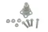 Опора кульова (передня/знизу) Renault Megane IV 15- FAG 825 0439 10 (фото 1)