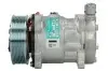 Компресор кондиціонера SANDEN SD7H156022 (фото 1)