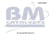 Напірний шланг сажов.фільтру BM CATALYSTS PP11091C (фото 1)