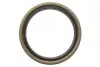 Підшипник маточини (передньої) Mazda 323 -91 (38x63x17) (к-кт) KAVO PARTS WBK-4501 (фото 4)