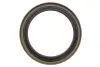 Підшипник маточини (передньої) Mazda 323 -91 (38x63x17) (к-кт) KAVO PARTS WBK-4501 (фото 5)