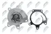 НАСОС РІДИНИ СИСТЕМИ ОХОЛОДЖЕННЯ | NISSAN JUKE 1.6 10-, QASHQAI 1.6 14-, X-TRAIL 1.6, 2.0 14-, PULSAR 1.6 15-, RENAULT TALISMAN 1.6 15- NTY CPW-NS-087 (фото 5)