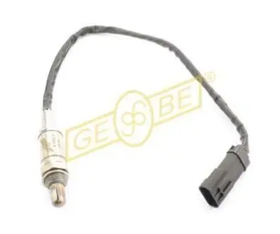 GEBE 970331