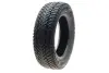 Шина IceMax RW516 185/65 R15 XL 92T (зимова) KAPSEN 185/65R15 XL RW516 (фото 1)