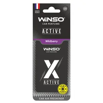 WINSO 533600