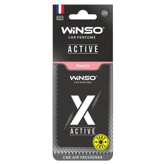 WINSO 533540