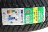 Шина IceMax RW516 205/55 R16 XL 94T (зимова) KAPSEN 205/55R16 XL RW516 (фото 2)