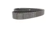 Ремінь ГРМ Audi A3/A4/A6/A7/Q2/Q3/Q5/Skoda Octavia/VW Golf VIII 2.0D/2.0DH 15- (25x149z) 1 987 946 822 BOSCH 1987946822 (фото 4)