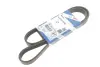 Ремінь генератора Ford Focus II/C-Max/Volvo C30/S40 II/V50 1.8/2.0 04-12 (6PK1249) 1 987 946 173 BOSCH 1987946173 (фото 2)