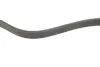 Ремінь генератора Ford Focus II/C-Max/Volvo C30/S40 II/V50 1.8/2.0 04-12 (6PK1249) 1 987 946 173 BOSCH 1987946173 (фото 3)