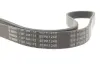 Ремінь генератора Ford Focus II/C-Max/Volvo C30/S40 II/V50 1.8/2.0 04-12 (6PK1249) 1 987 946 173 BOSCH 1987946173 (фото 4)