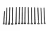 Болти головки (к-кт 14шт.) BMW X3 E83/X5 E70/130i/E81/330i E92 N52 3.0 04- N51-N53 BILSTEIN FEBI 178284 (фото 1)