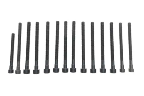 Болти головки (к-кт 14шт.) BMW X3 E83/X5 E70/130i/E81/330i E92 N52 3.0 04- N51-N53 BILSTEIN FEBI 178284