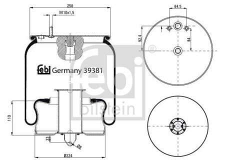 FEBI 39381