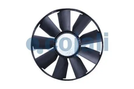 COJALI 7067106