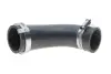 Патрубок інтеркулера (верхній) Ford Focus II 1.6TDCi/1.8TDCi 03-12 BILSTEIN FEBI 188208 (фото 3)