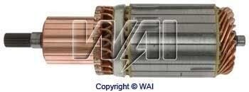 Якір стартера WAIGLOBAL 61-8204